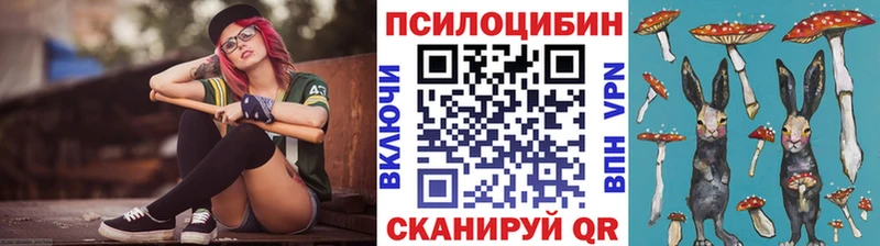Псилоцибиновые грибы Cubensis даркнет какой сайт Архангельск