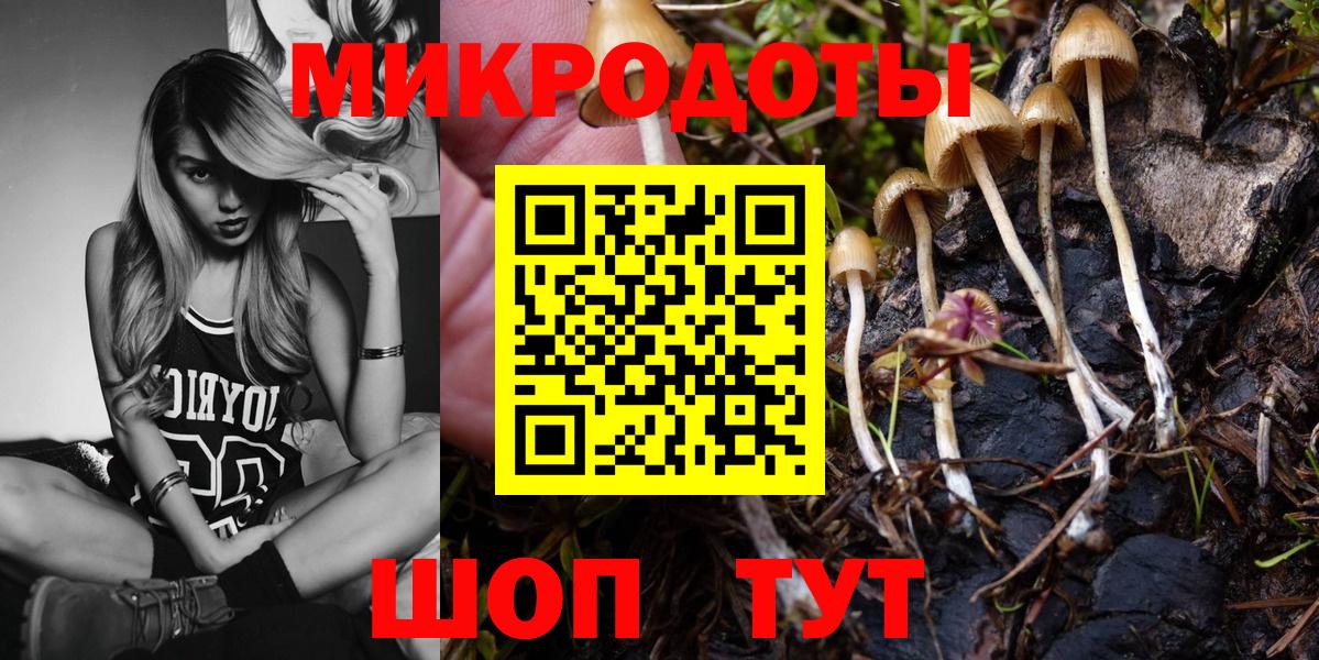 Галлюциногенные грибы мицелий Архангельск