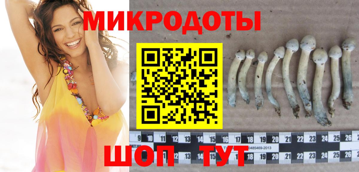 Псилоцибиновые грибы мицелий  Вход с VPN  Архангельск 